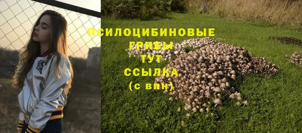 сатива Заволжье