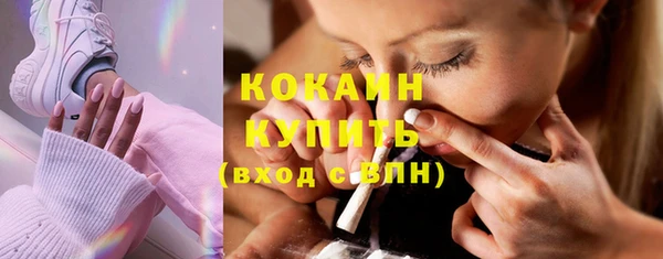 индика Заволжск
