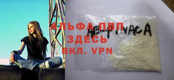 индика Заволжск