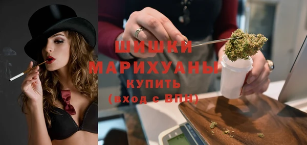 ПСИЛОЦИБИНОВЫЕ ГРИБЫ Заводоуковск