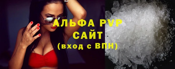 сатива Заволжье
