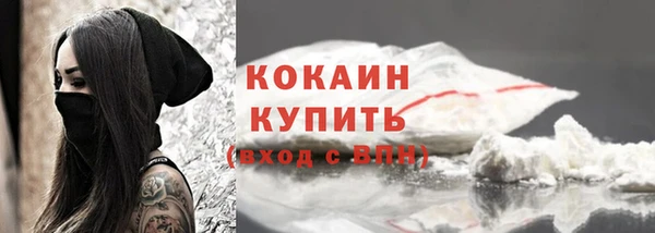 индика Заволжск