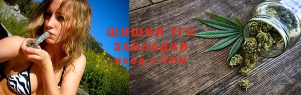 ПСИЛОЦИБИНОВЫЕ ГРИБЫ Заводоуковск