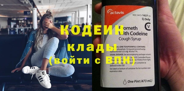 ПСИЛОЦИБИНОВЫЕ ГРИБЫ Заводоуковск