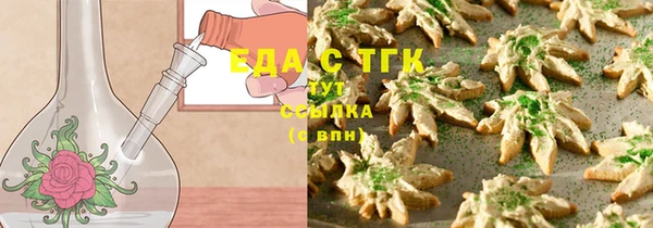 индика Заволжск