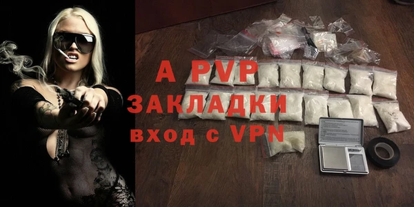 индика Заволжск