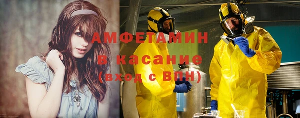 сатива Заволжье
