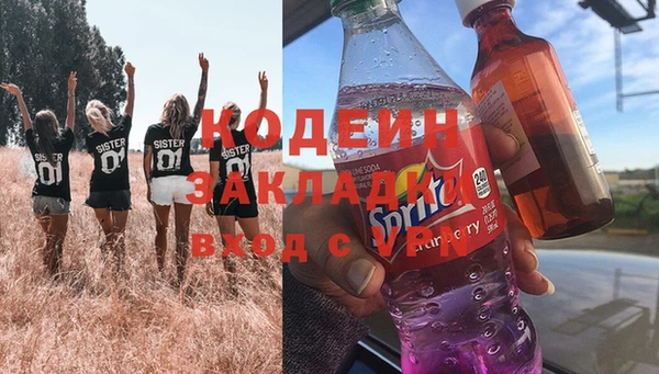 ПСИЛОЦИБИНОВЫЕ ГРИБЫ Заводоуковск