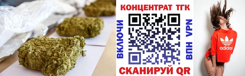 ТГК концентрат Купить где Бакал