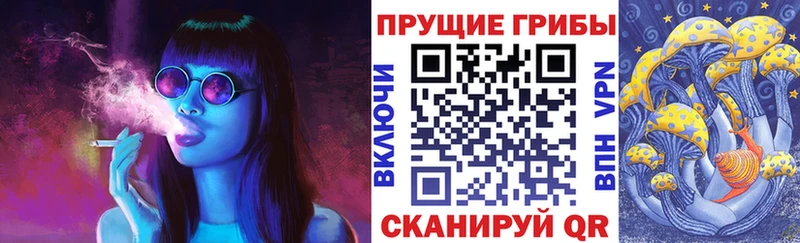 Псилоцибиновые грибы Magic Shrooms  Купить закладки  Бакал 
